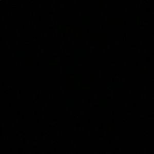 Meet your Posher, Cesar